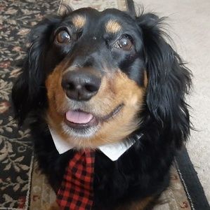 Meet your Posher, Tina